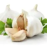 tak-hanya-sebagai-bumbu-dapur-ternyata-bawang-putih-punya-segudang-khasiat-yuk-simak